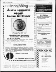 Síða 13