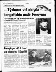 Síða 3