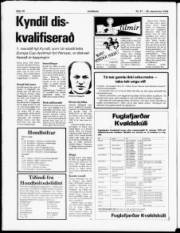 Síða 17