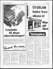 Síða 11