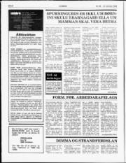 Síða 6