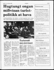 Síða 5
