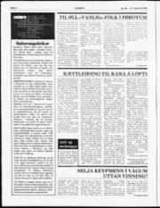 Síða 6