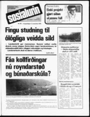 Síða 1