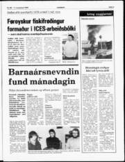Síða 5