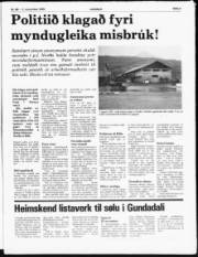Síða 3