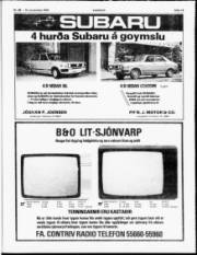 Síða 13
