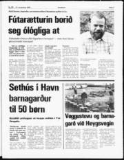 Síða 3