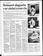 Síða 3