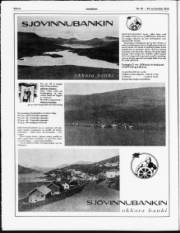 Síða 8