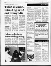 Síða 2