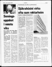 Síða 3