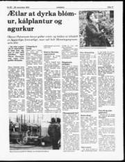 Síða 11