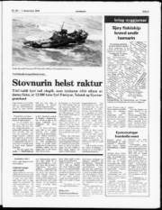 Síða 5