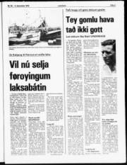 Síða 3