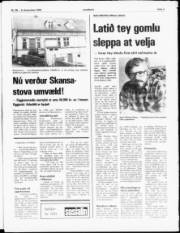 Síða 3