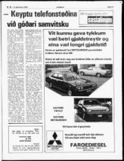 Síða 17