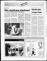 Síða 20