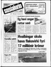 Síða 1