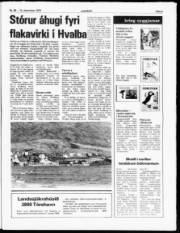 Síða 5