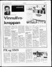 Síða 7