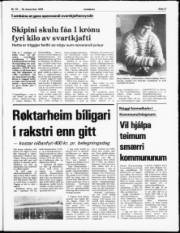 Síða 3