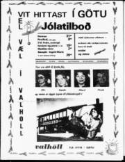 Síða 15