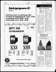 Síða 17