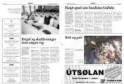Síða 2