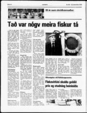 Síða 13