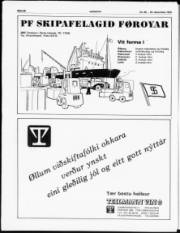 Síða 19