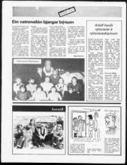 Síða 23