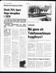 Síða 3