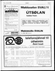 Síða 13