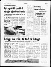 Síða 3