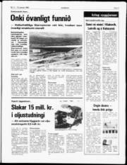 Síða 5