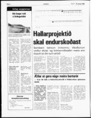 Síða 4