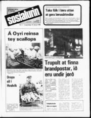 Síða 1