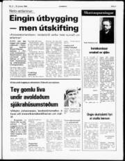 Síða 3