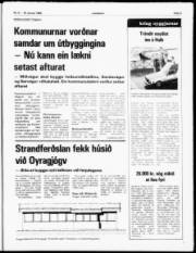 Síða 5