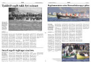 Síða 11