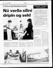 Síða 11