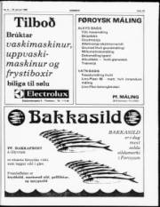 Síða 15