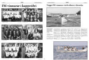 Síða 12
