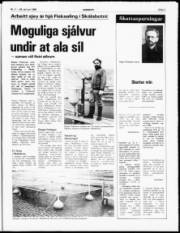 Síða 3