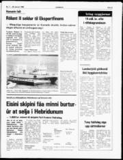 Síða 5