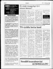 Síða 6
