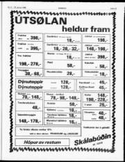 Síða 13