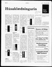 Síða 14
