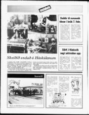 Síða 16